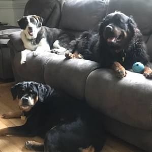 Meet your Posher, Kim